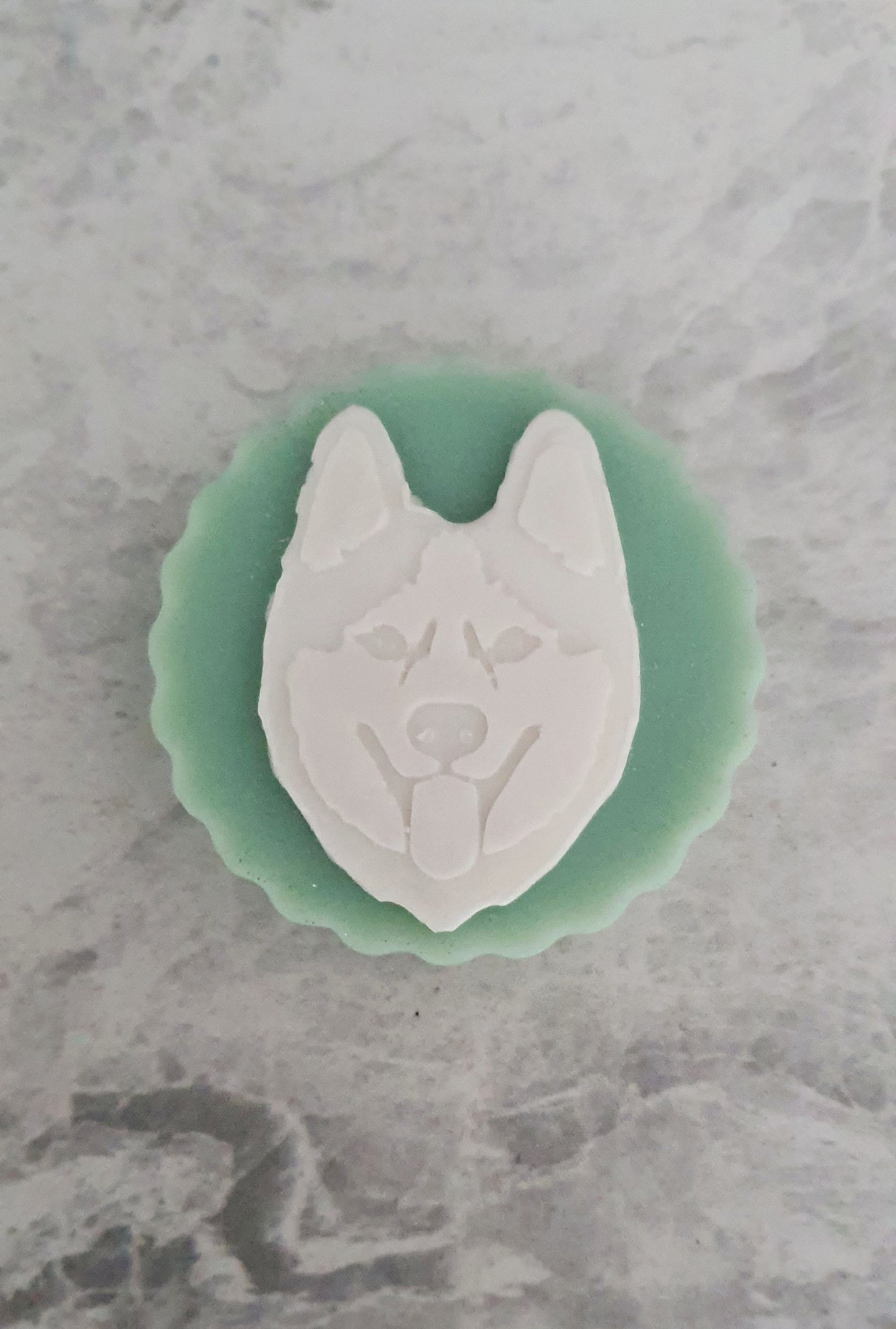 Husky gifts dog