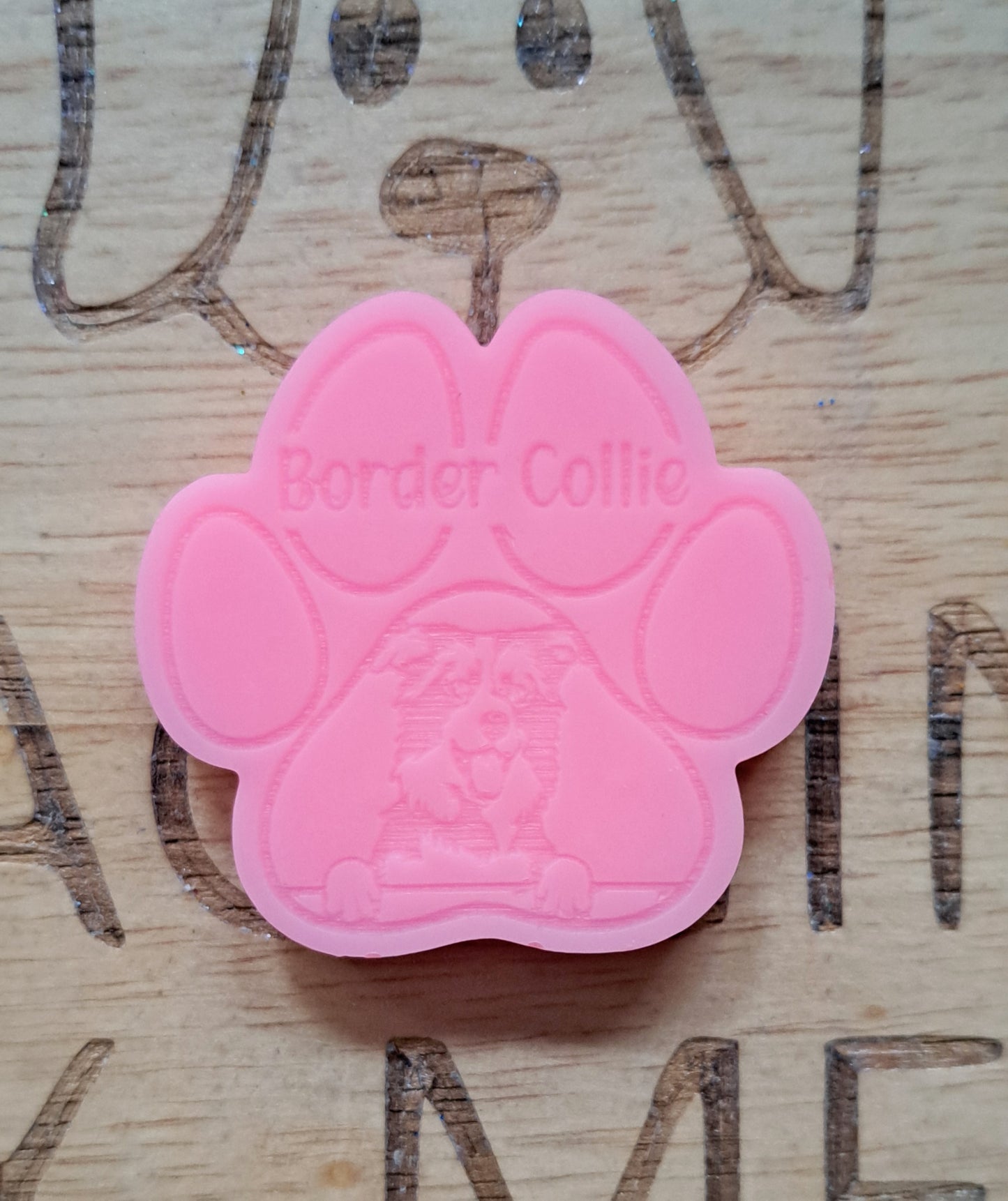 Border Collie Breed Paw