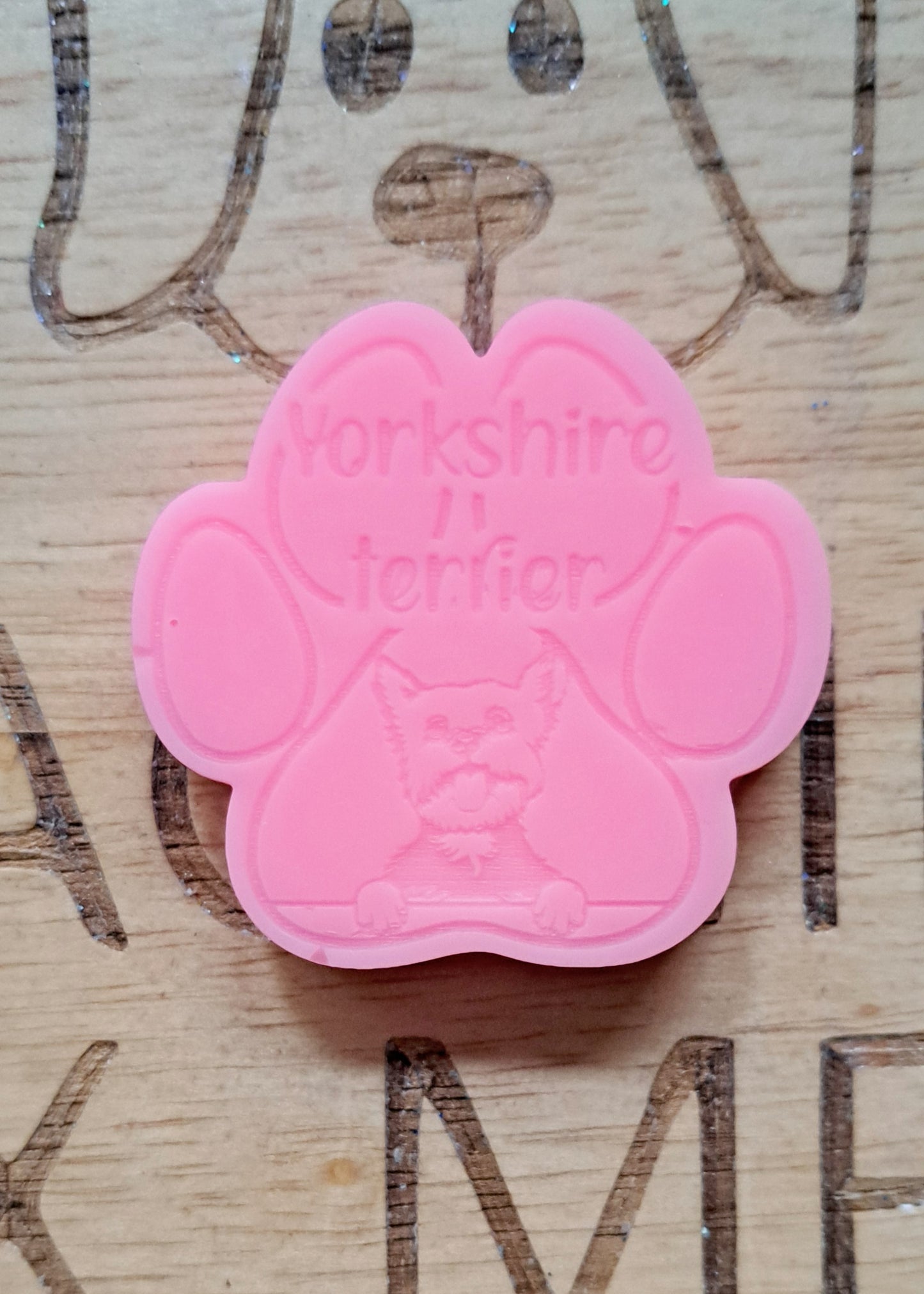 Yorkshire Terrier Breed Paw