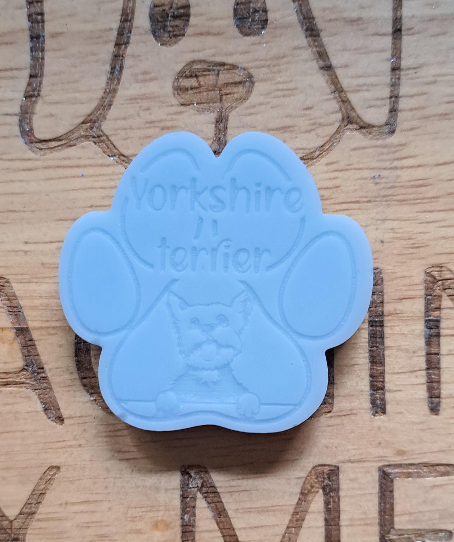 Yorkshire Terrier Breed Paw