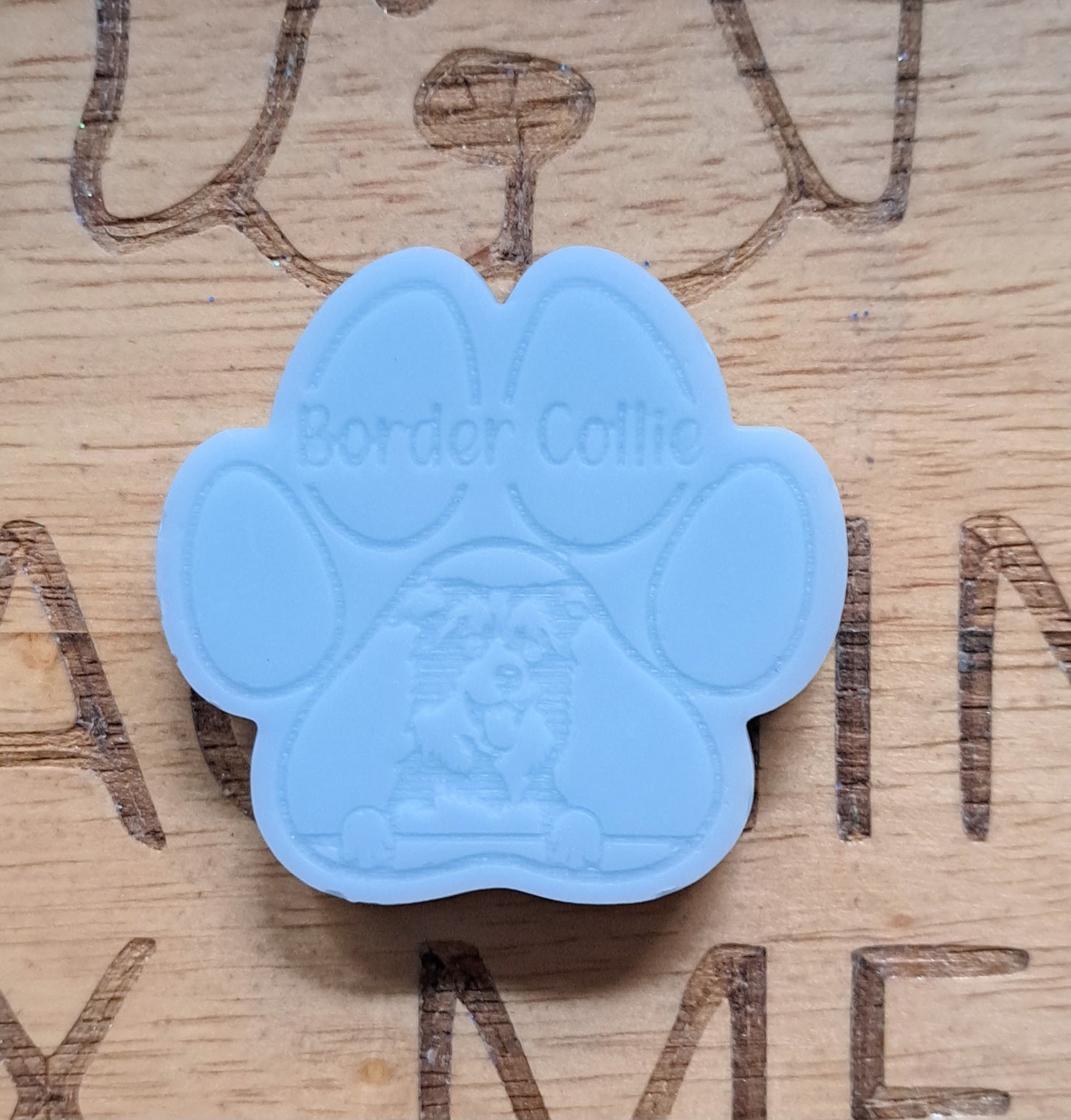 Border Collie Breed Paw