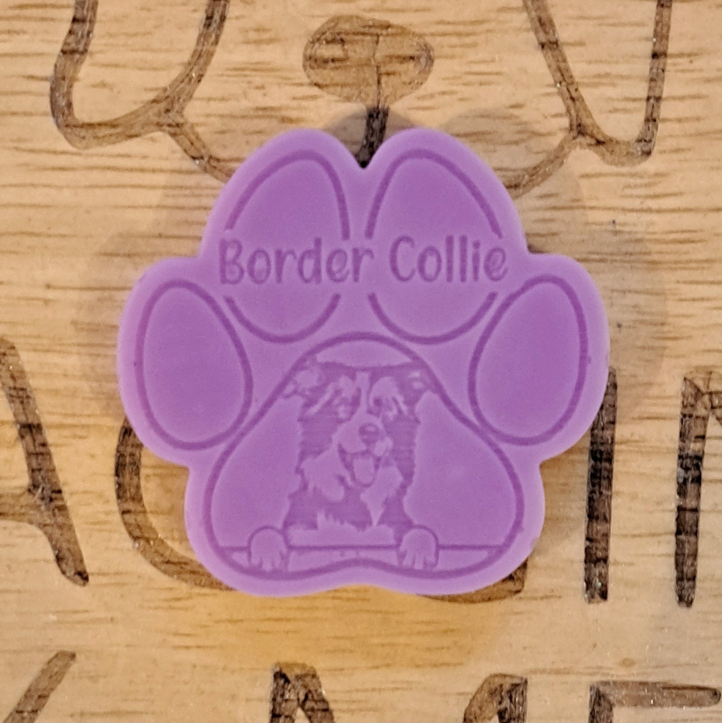 Border Collie Breed Paw