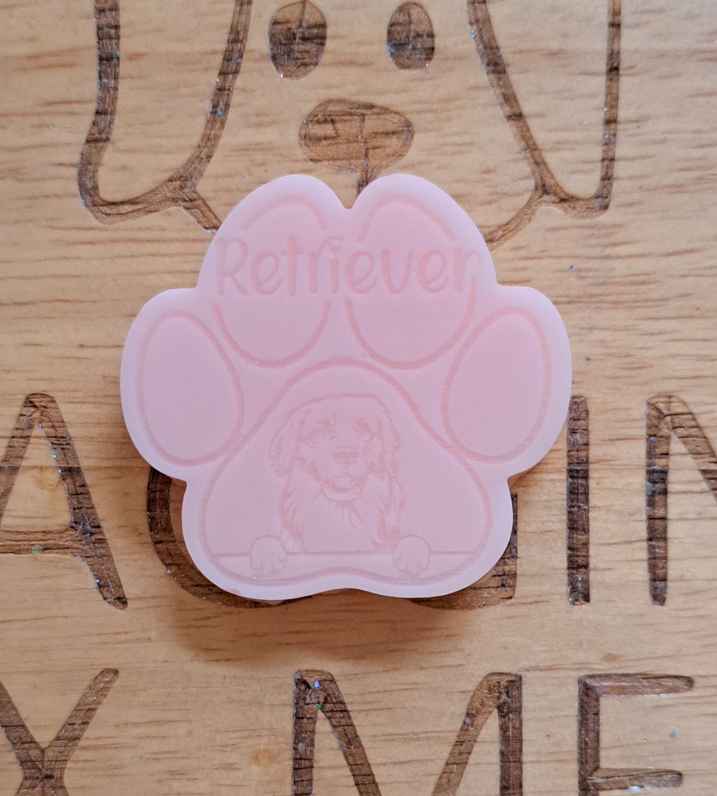 Retriever Breed Paw