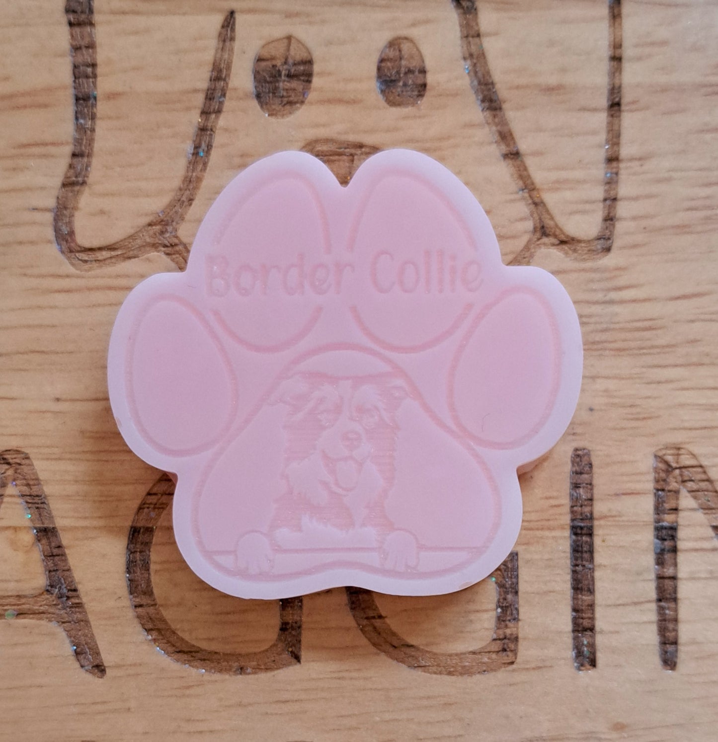 Border Collie Breed Paw