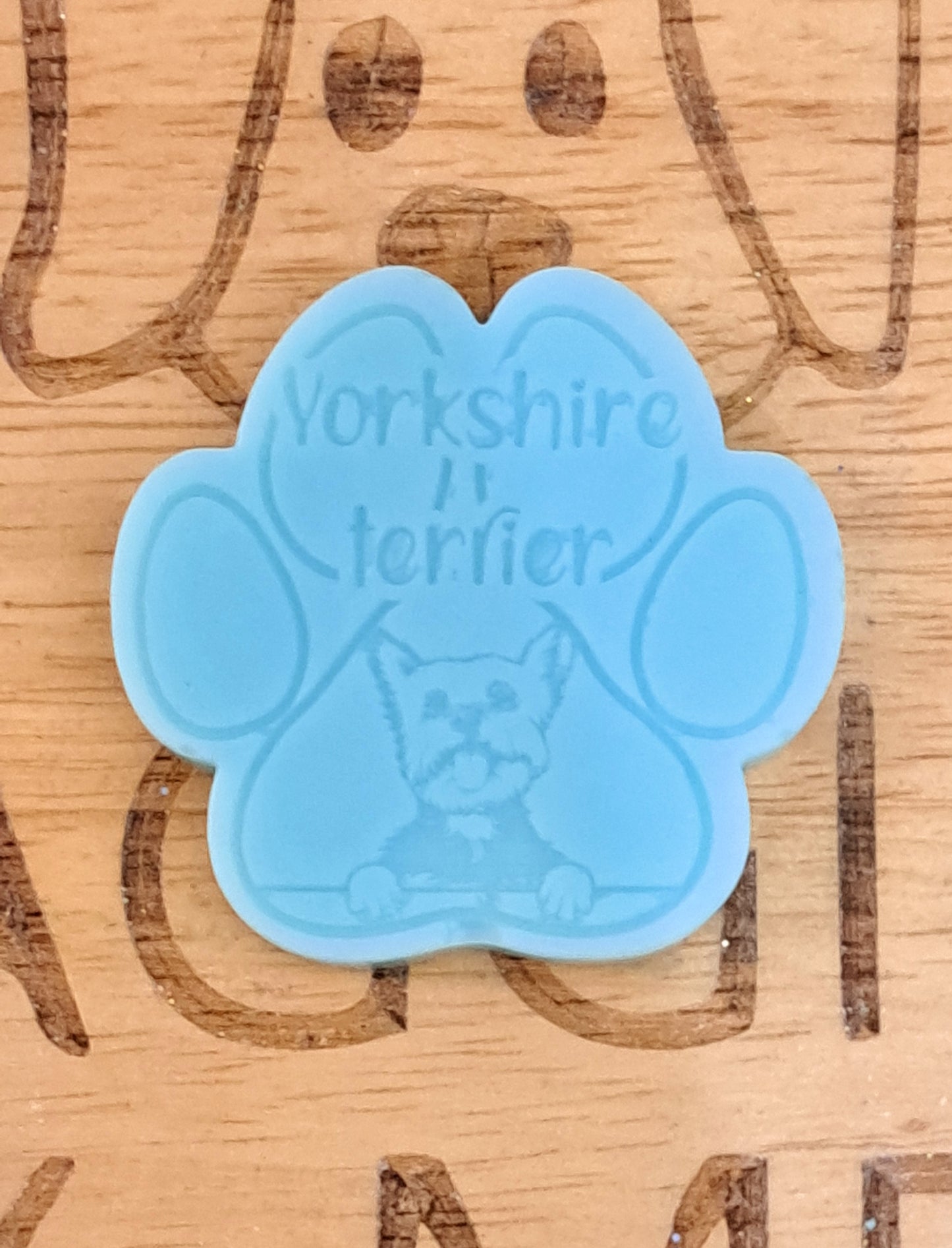 Yorkshire Terrier Breed Paw