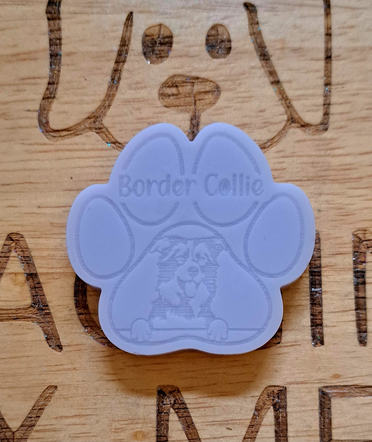 Border Collie Breed Paw
