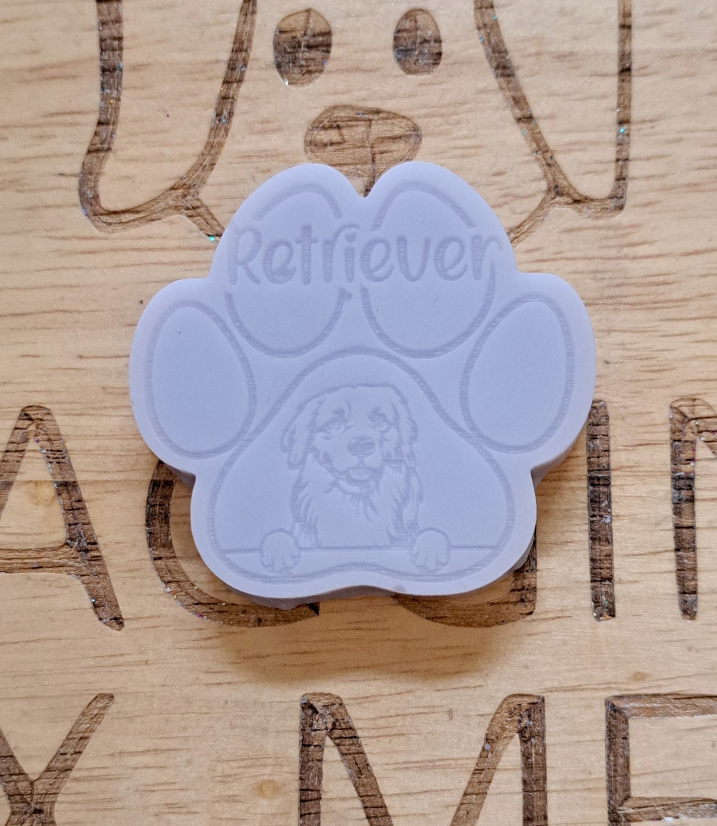 Retriever Breed Paw