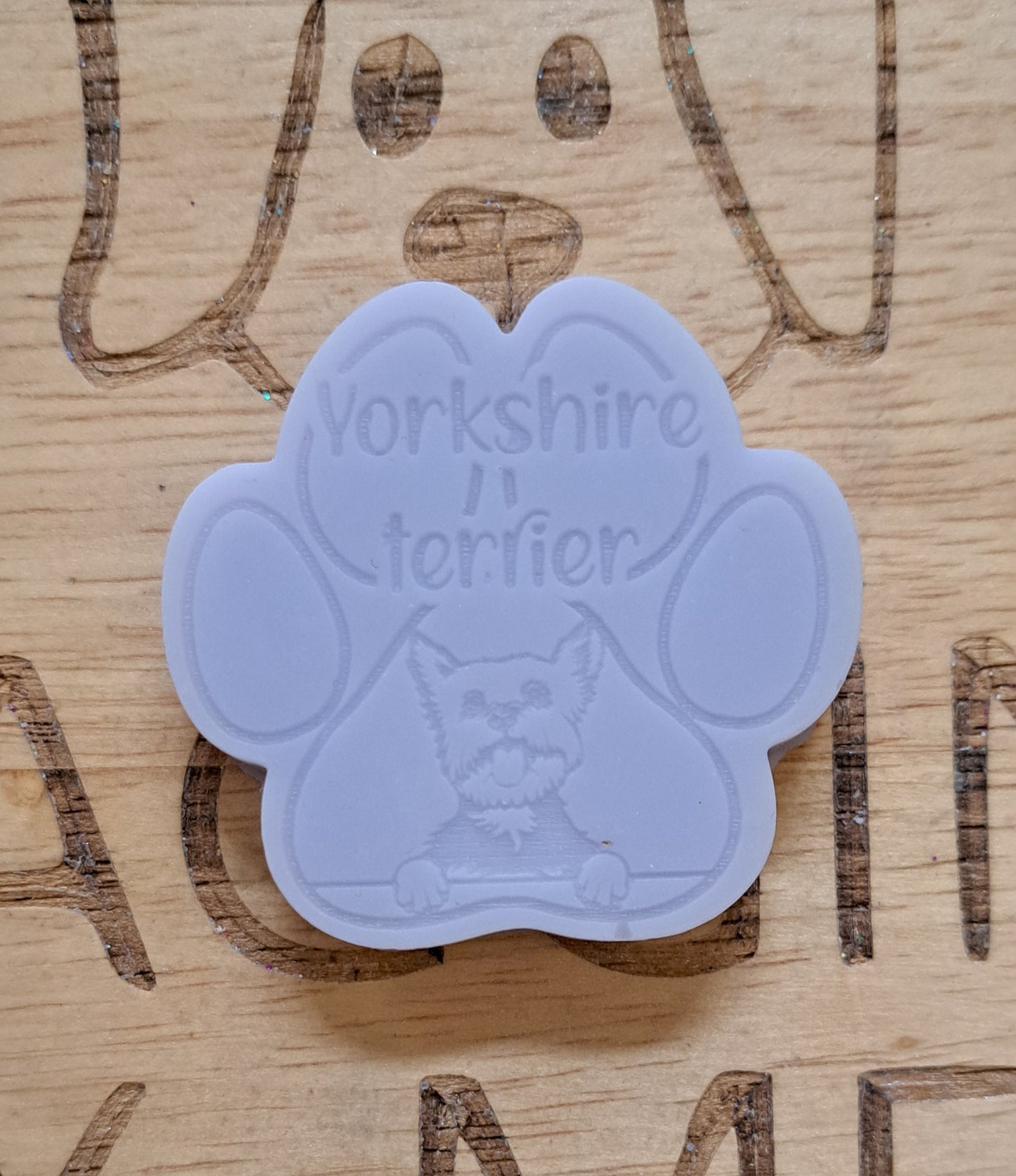 Yorkshire Terrier Breed Paw