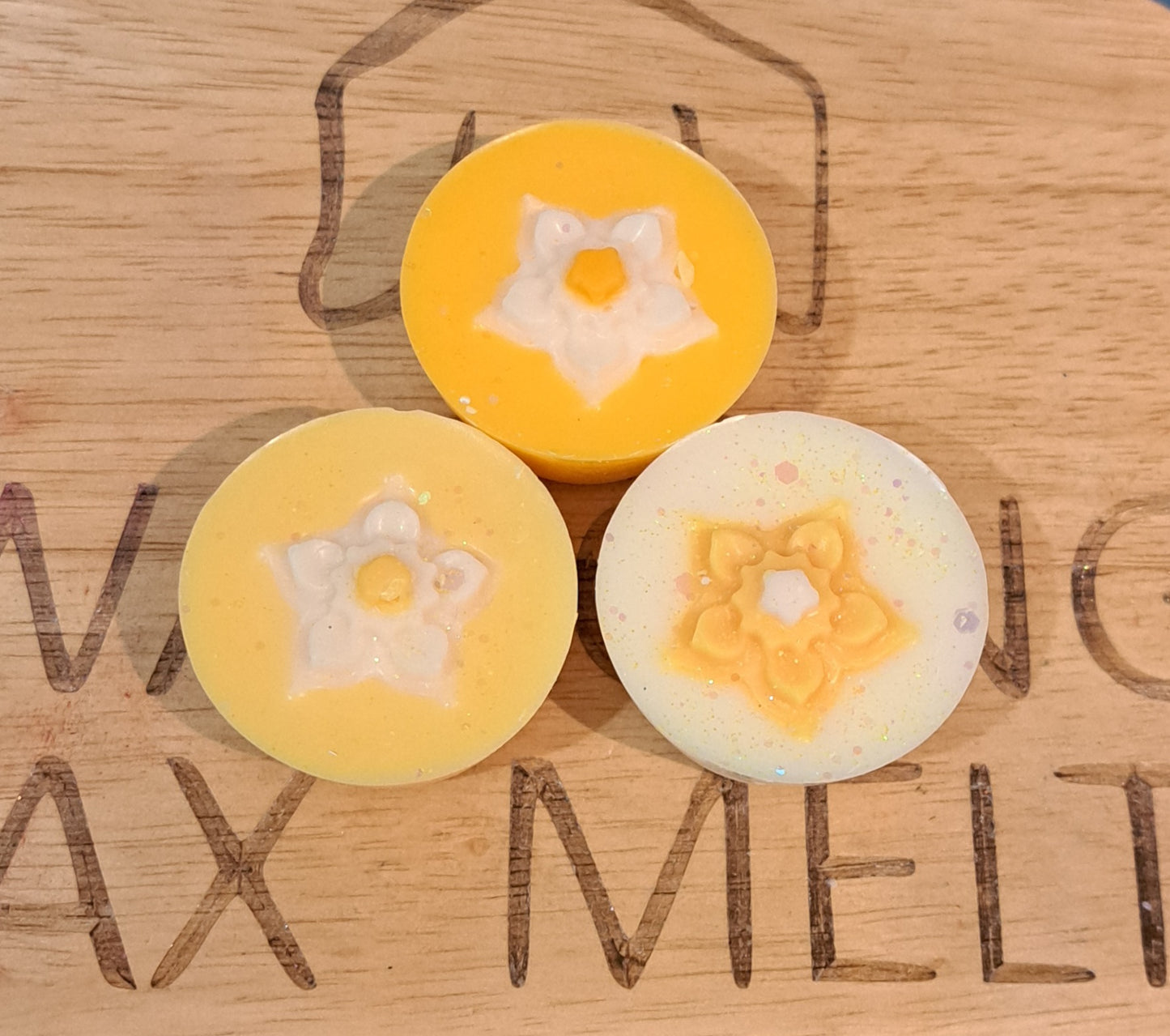 Seasonal Pies and sets