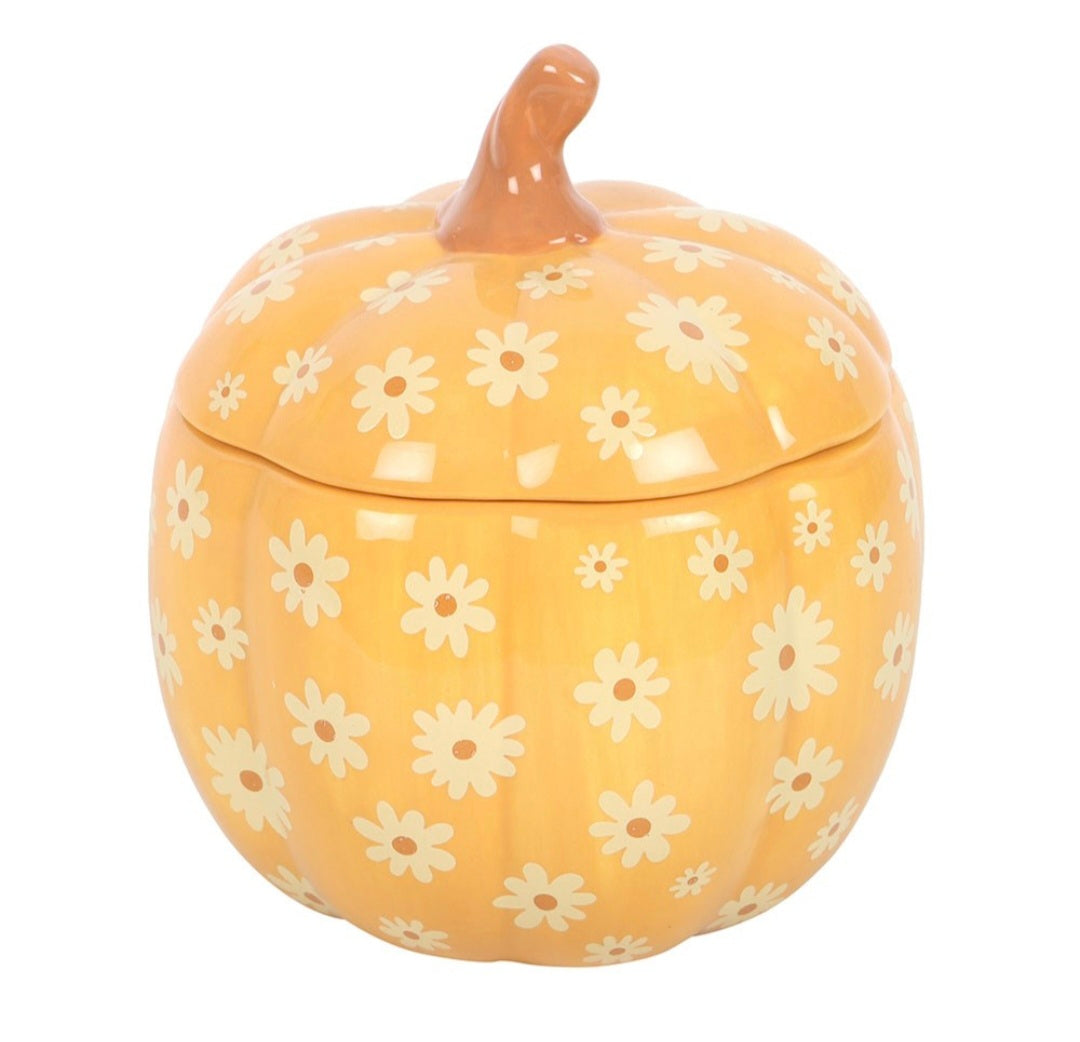 Autumn Pumkin Wax Warmer