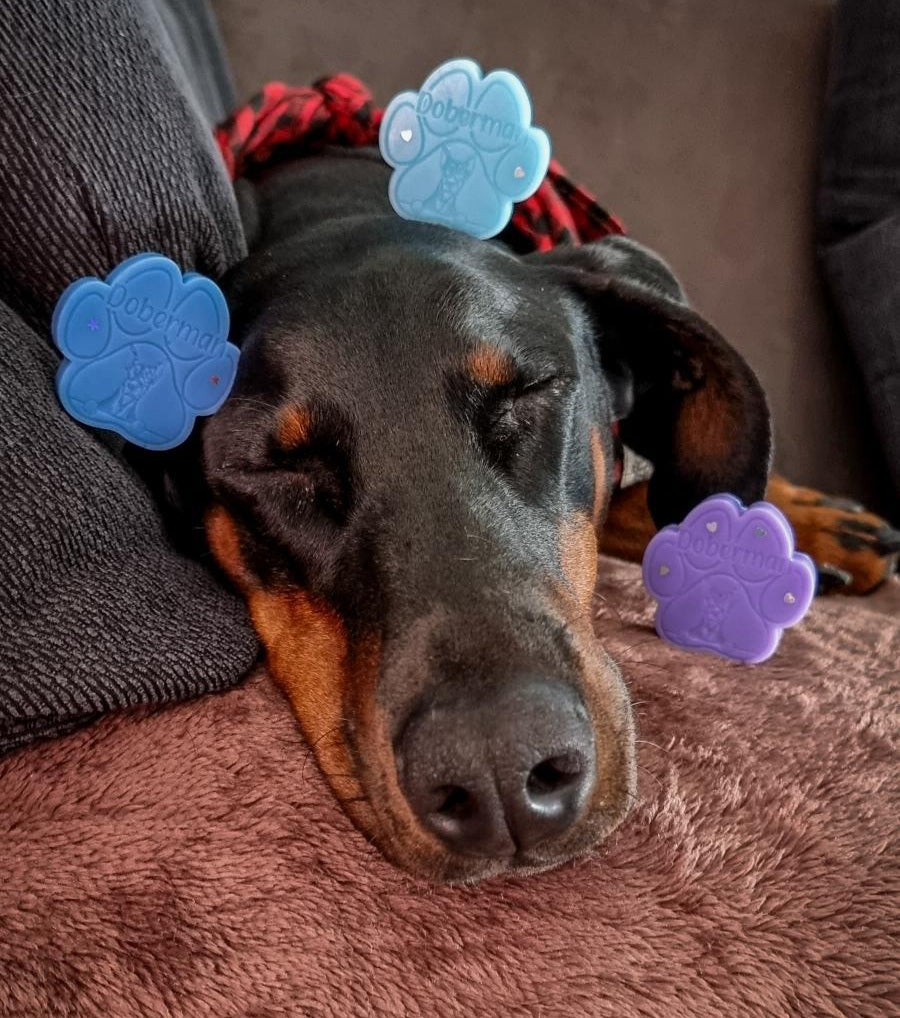 Doberman Breed Paw Wax Melt