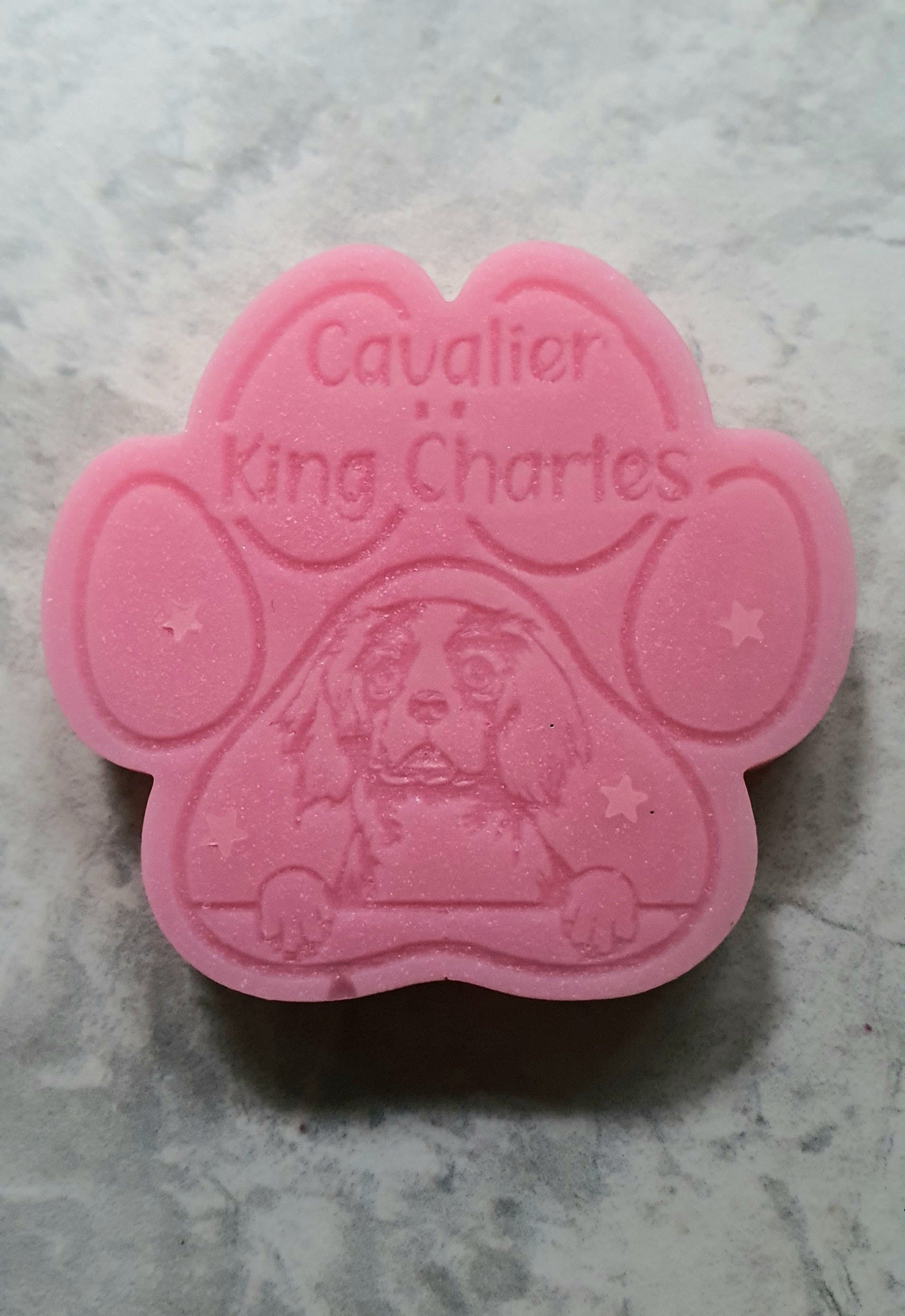 King Charles cavalier  gift dog paw