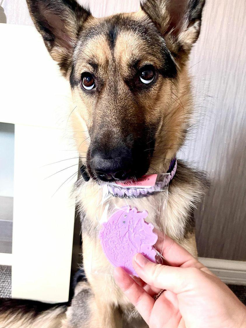 German Shepherd Luna Wax Melt