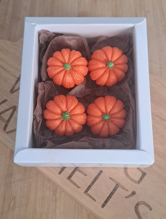 Autumn Pumkins