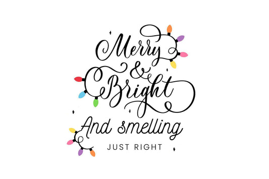 12 Days of Advent Christmas Calendar