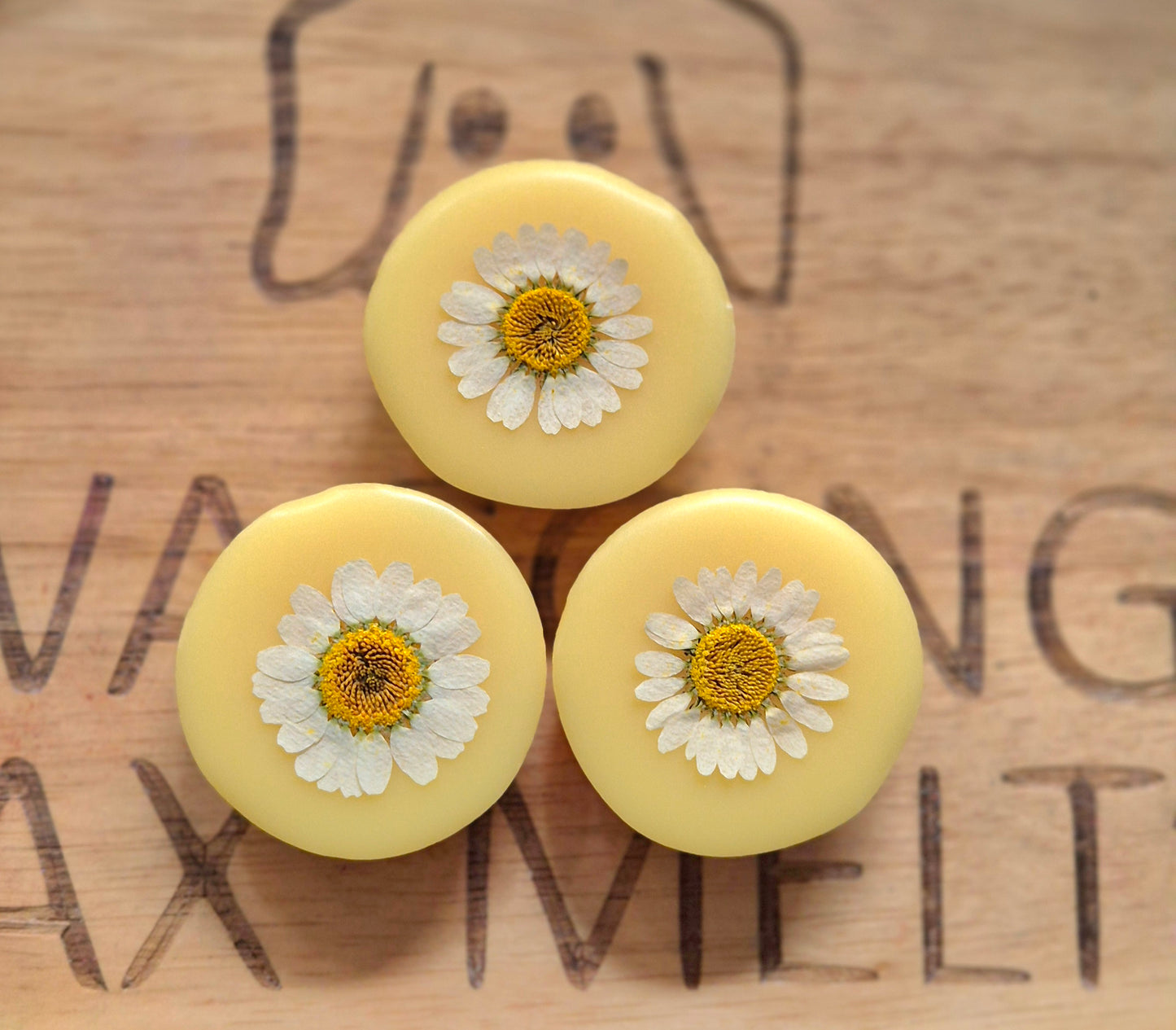 Seasonal Pies and sets