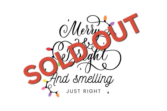 12 Days of Advent Christmas Calendar