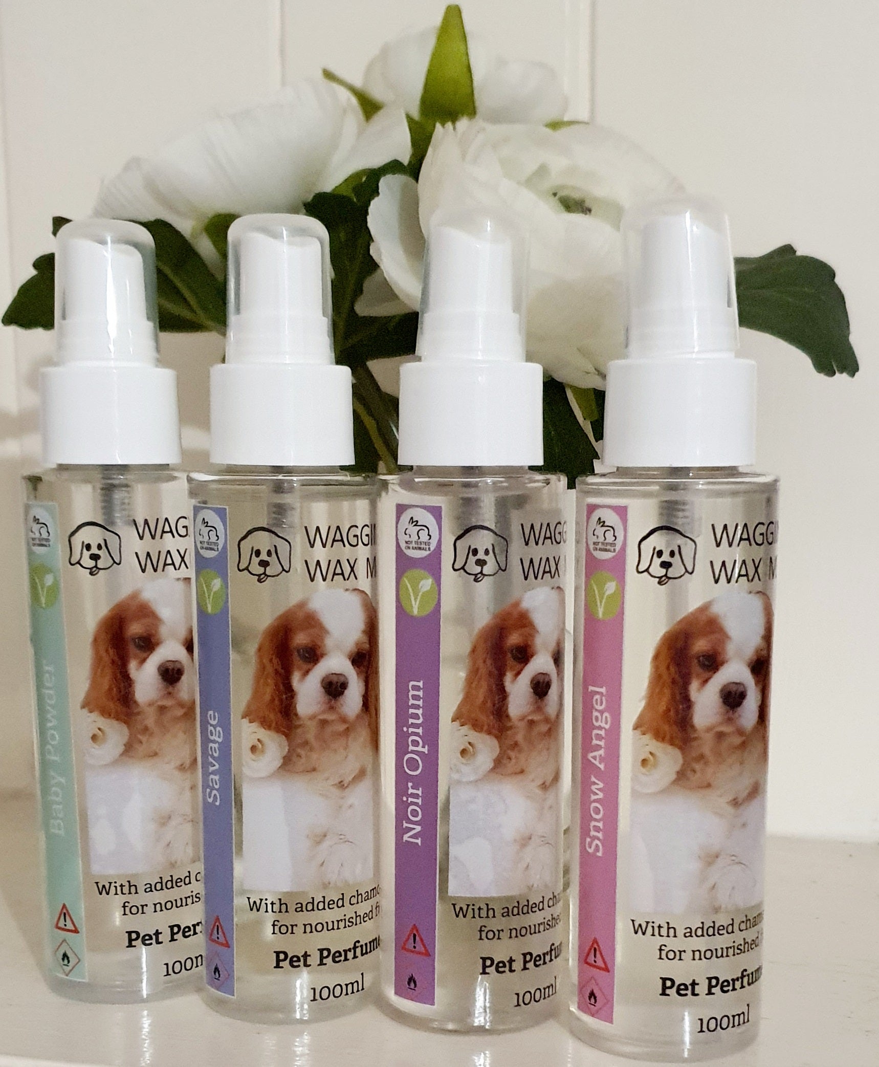 Angel powder clearance for dogs